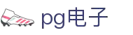 PG电子(中国)官方网站-官方平台登录入口